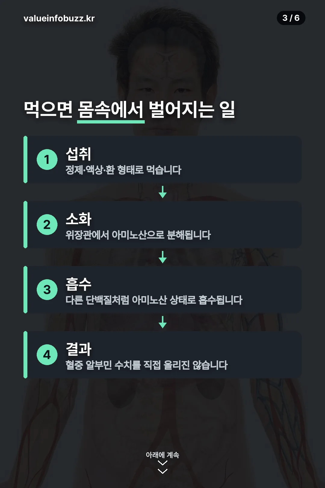 먹으면 몸속에서 벌어지는 일