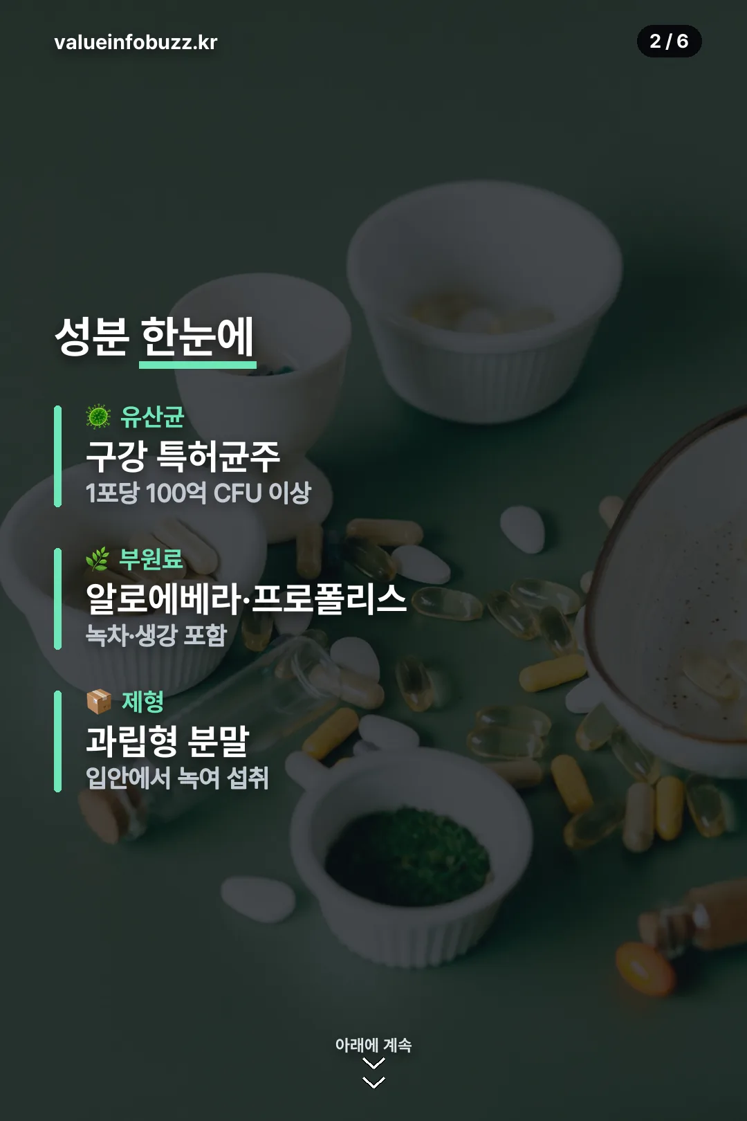 성분 한눈에 보기