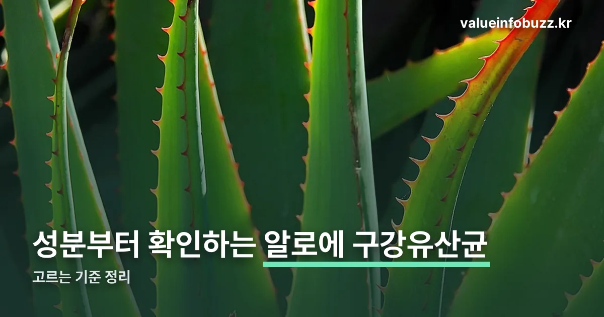 알로에 구강유산균 정리 썸네일