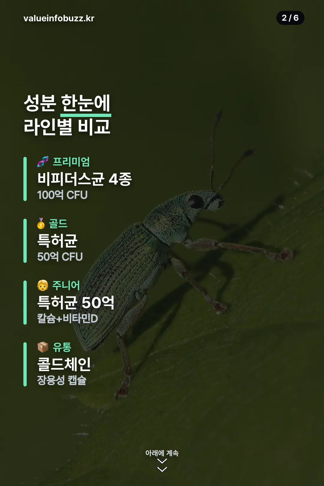 성분 한눈에 비교