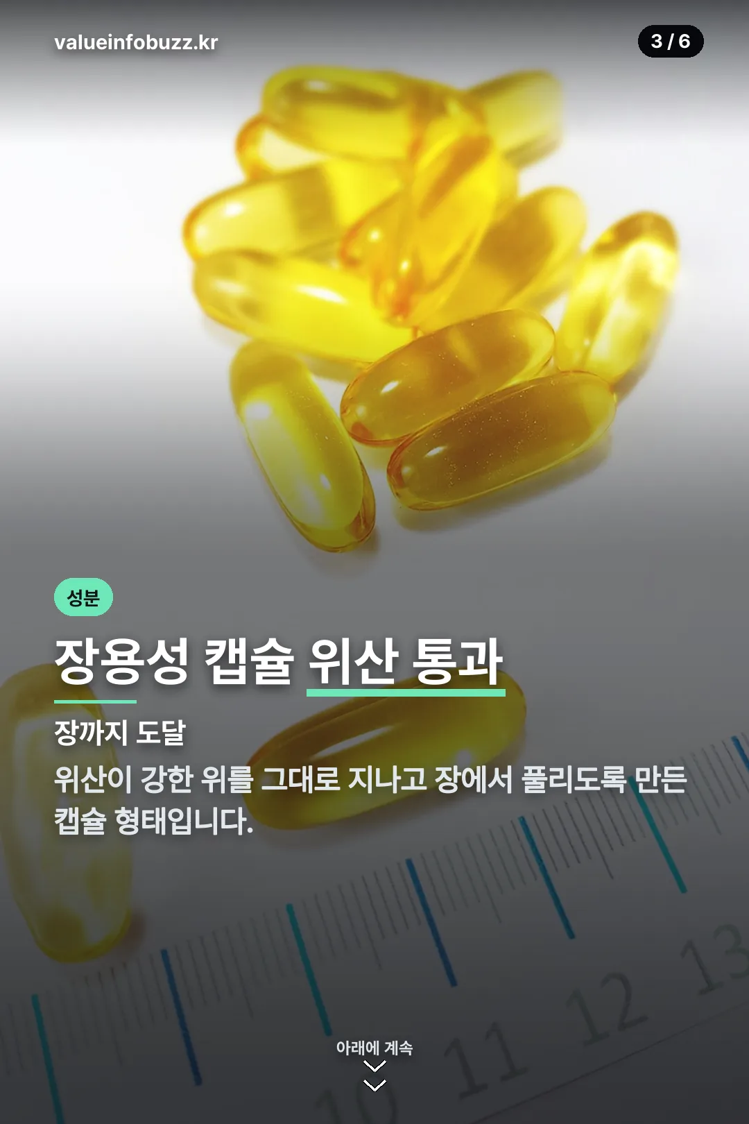 장용성 캡슐 설명
