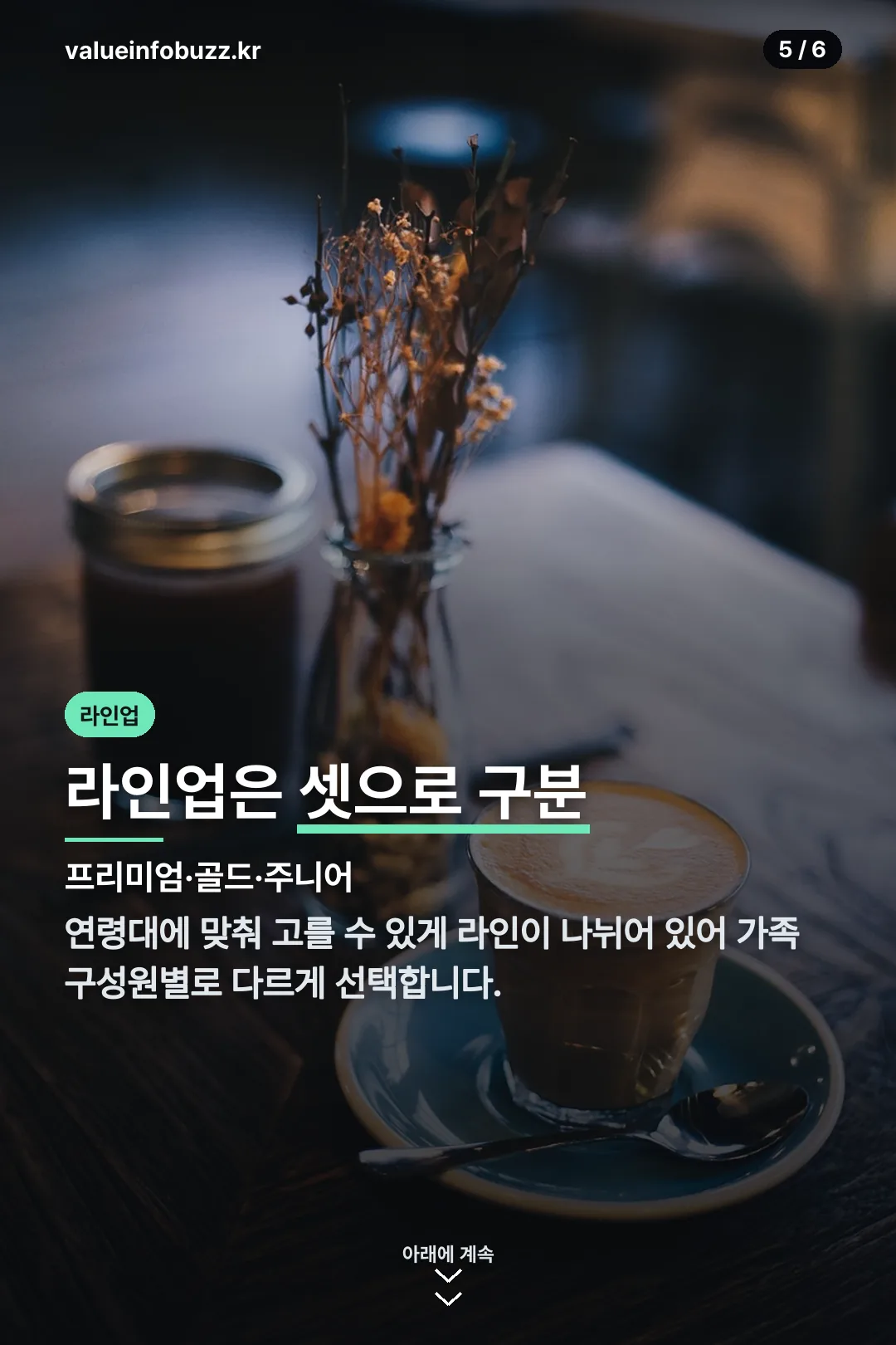 라인업 구분