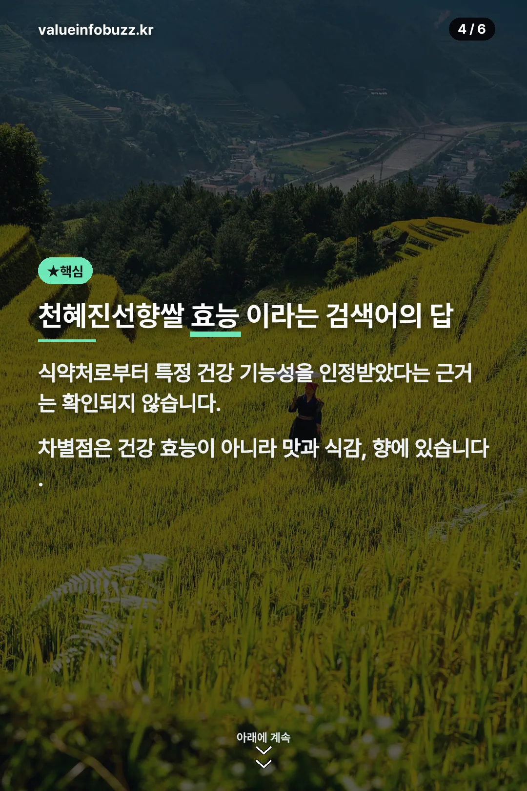 천혜진선향쌀 효능 검색어의 정확한 답