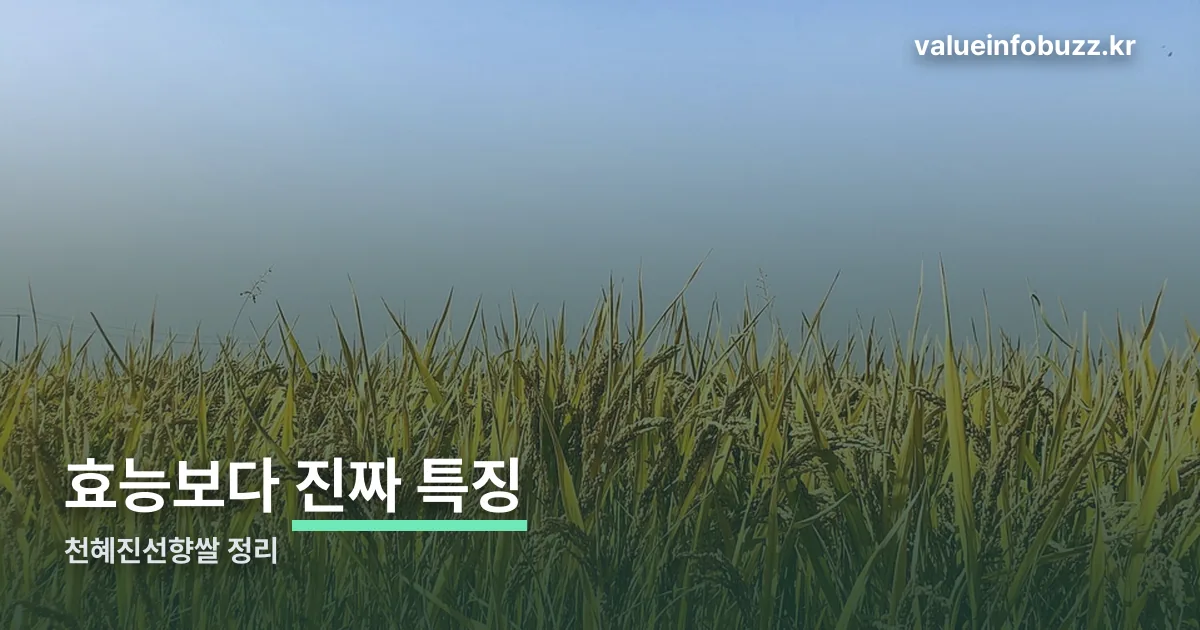 천혜진선향쌀 효능 정리 썸네일