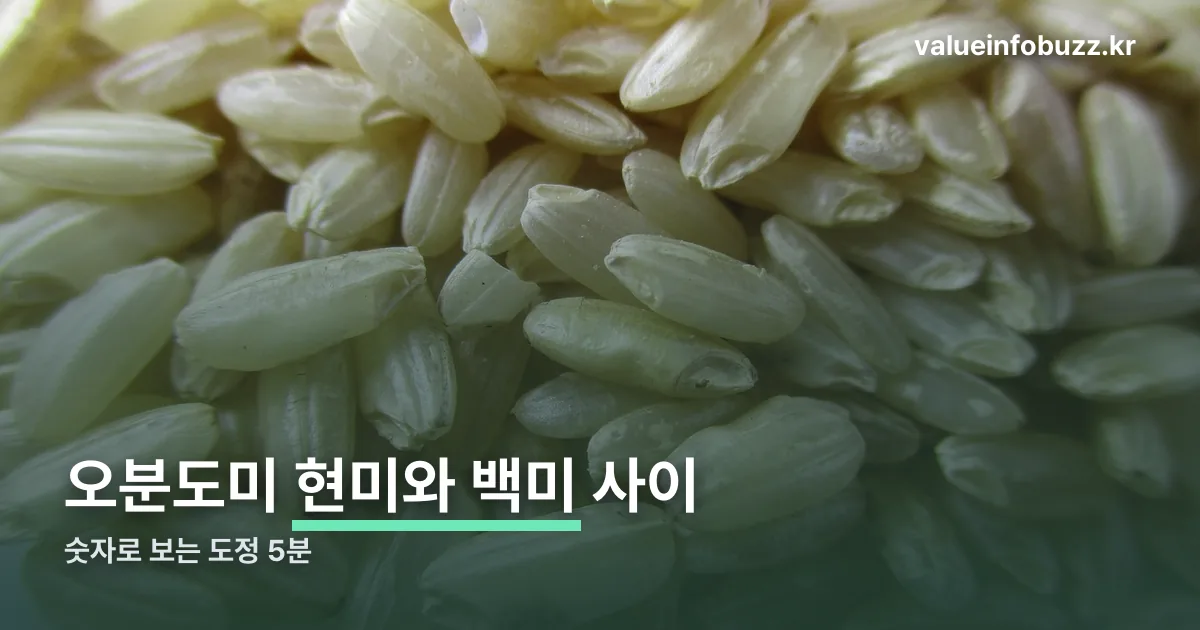 오분도미효능 정리 썸네일