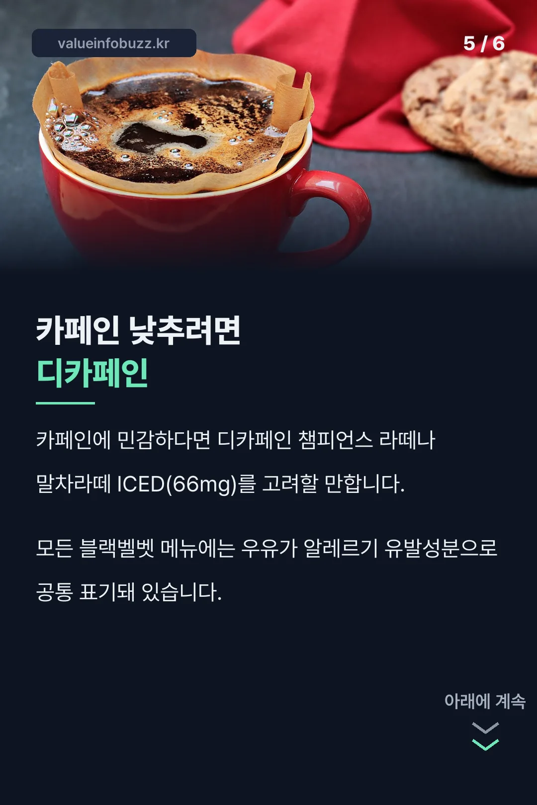 카페인 비교