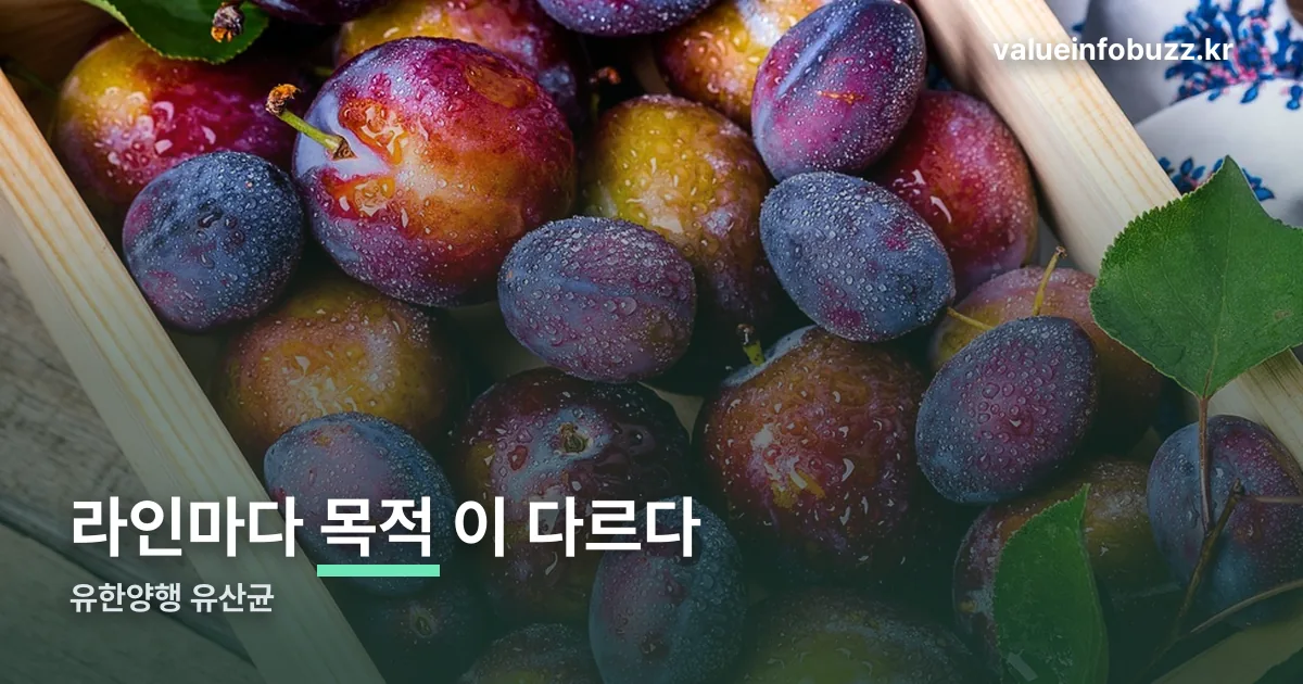 유한양행 유산균 정리 썸네일