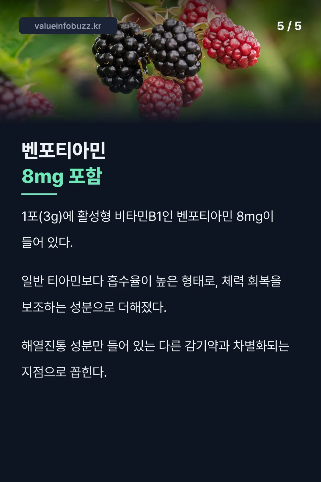 벤포티아민 성분 포인트