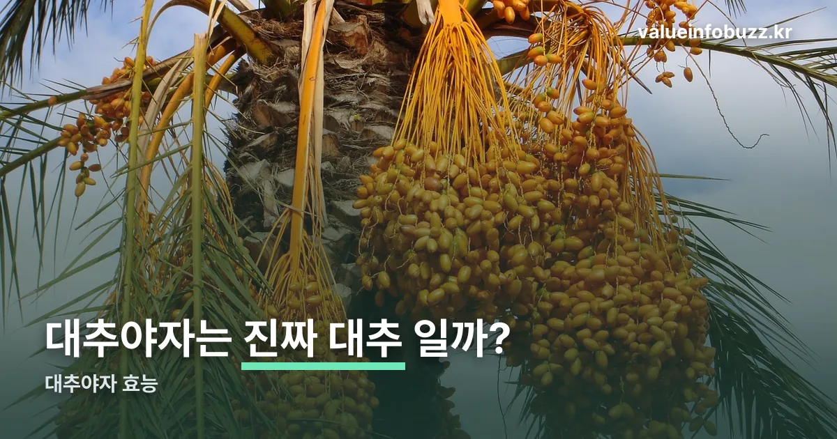 대추야자 효능 정리 썸네일
