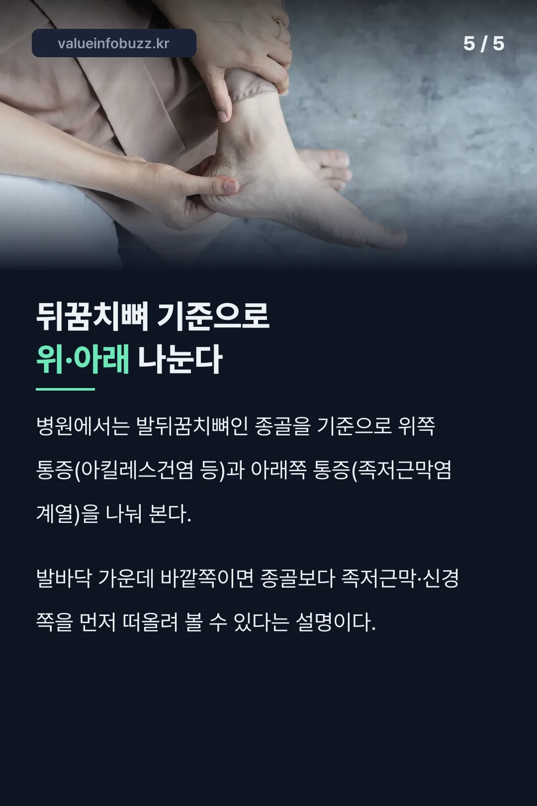 뒤꿈치뼈 기준 구분