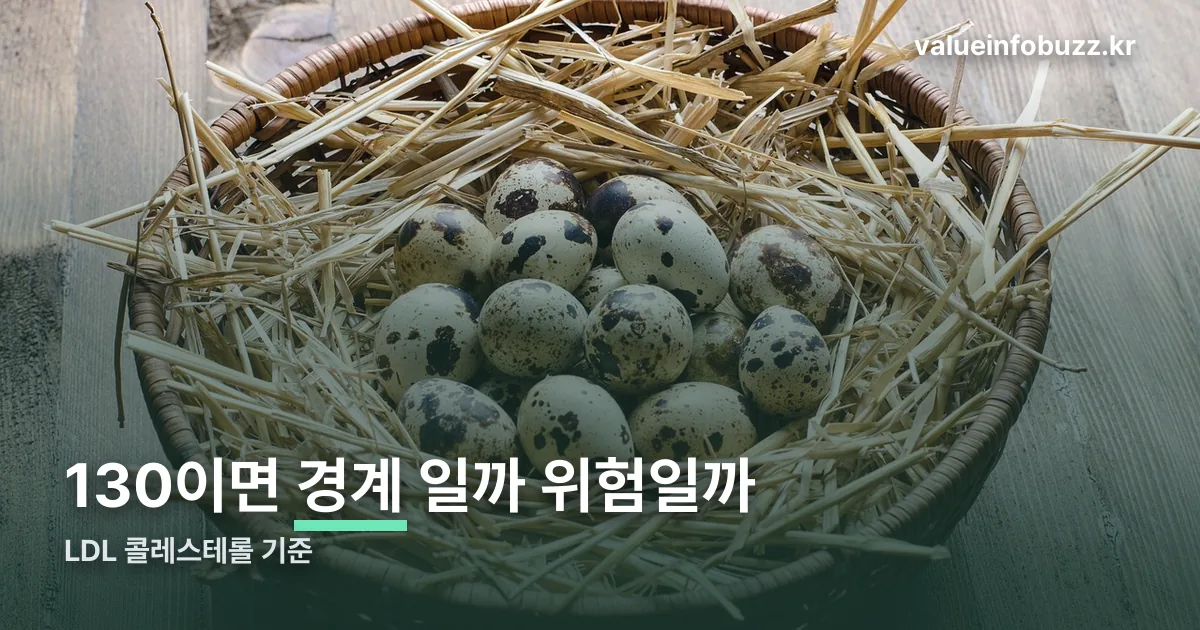 LDL 콜레스테롤 정리 썸네일