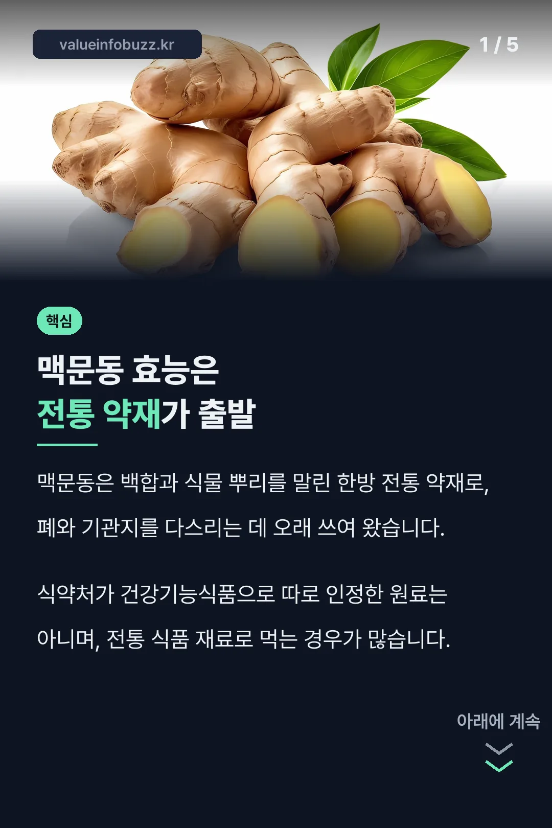 맥문동 효능 핵심 정리