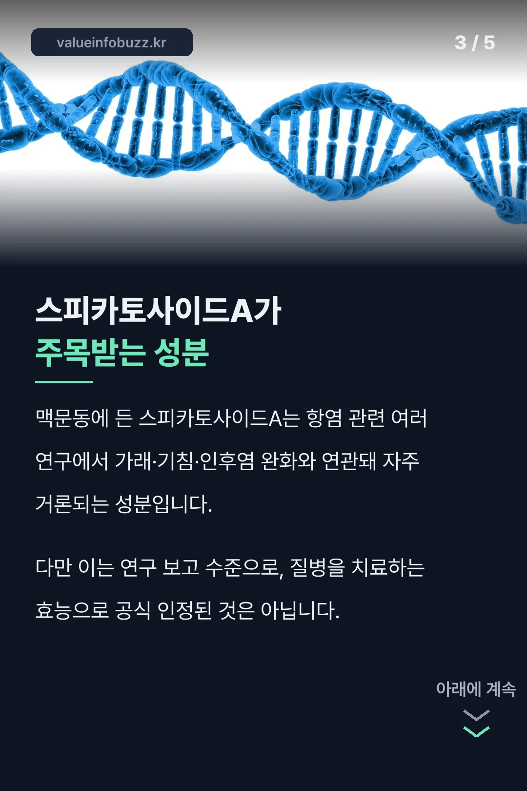 스피카토사이드A 성분