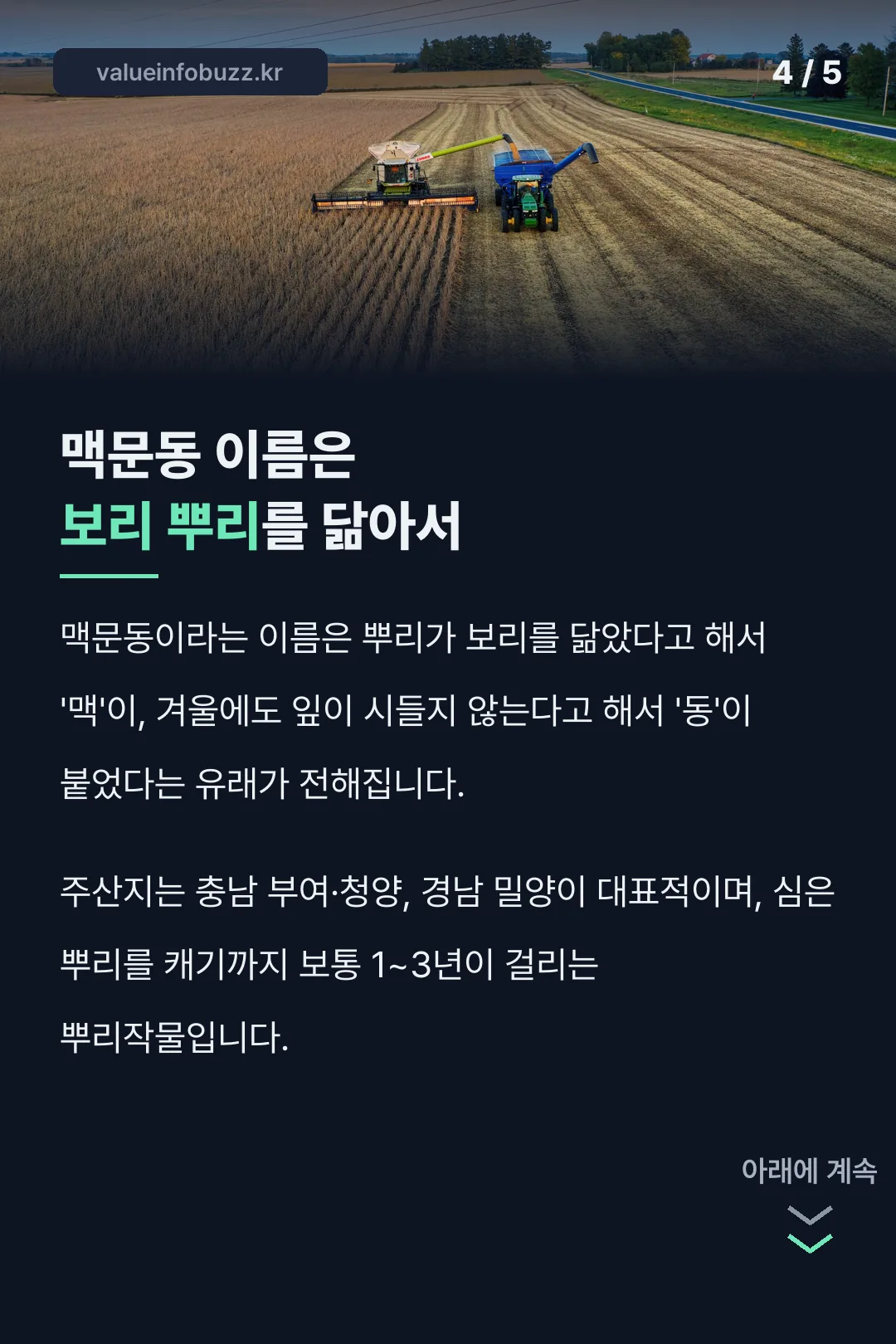 맥문동 이름의 유래와 주산지