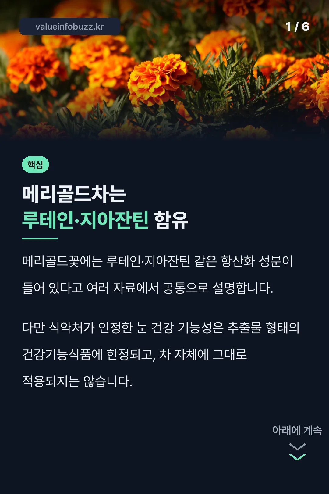 메리골드차 핵심 성분