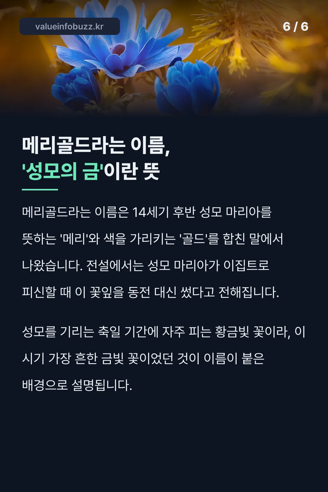 메리골드라는 이름의 유래