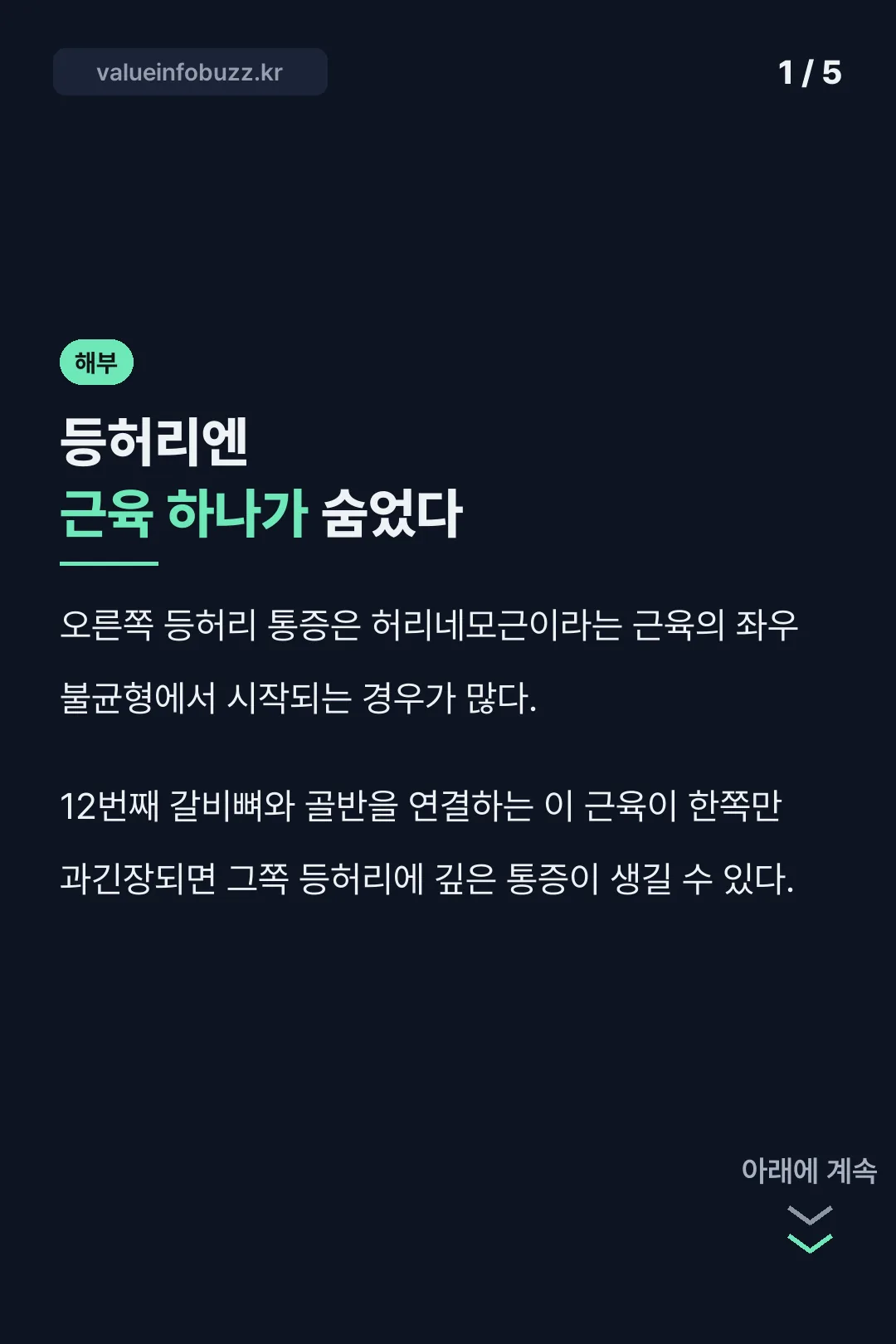 등허리엔 허리네모근이 숨어 있다는 사실