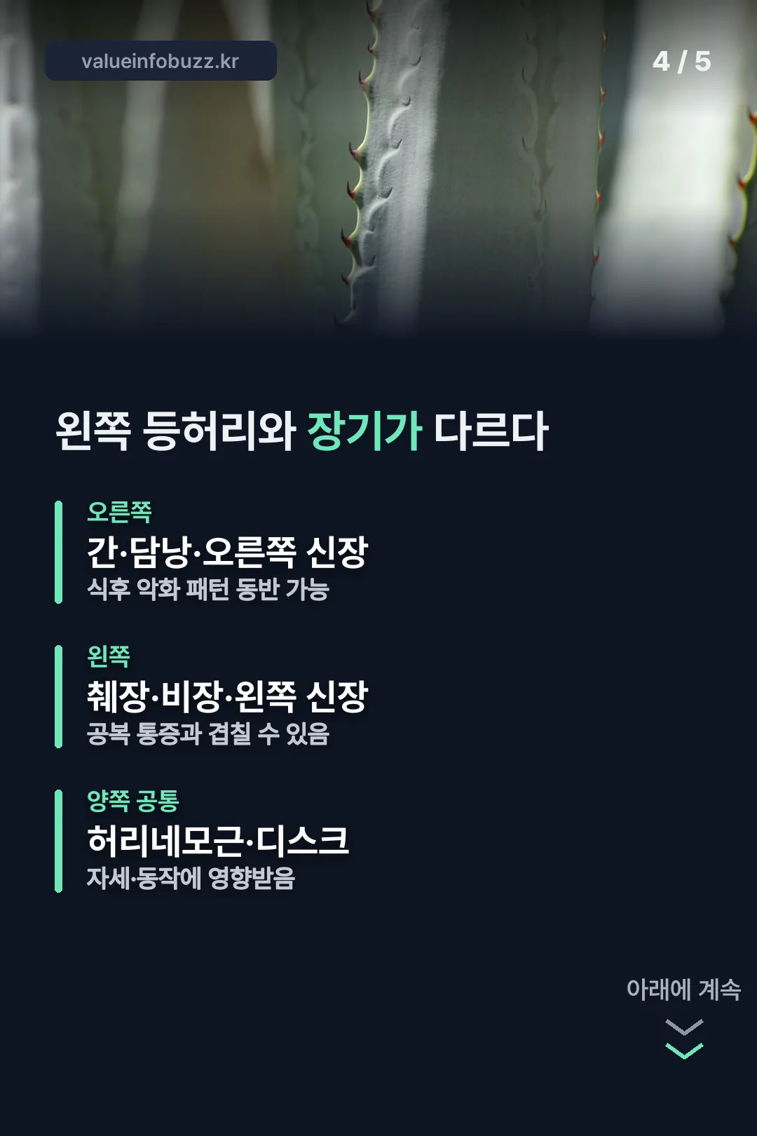 왼쪽 등허리와 장기가 다르다는 좌우 비교