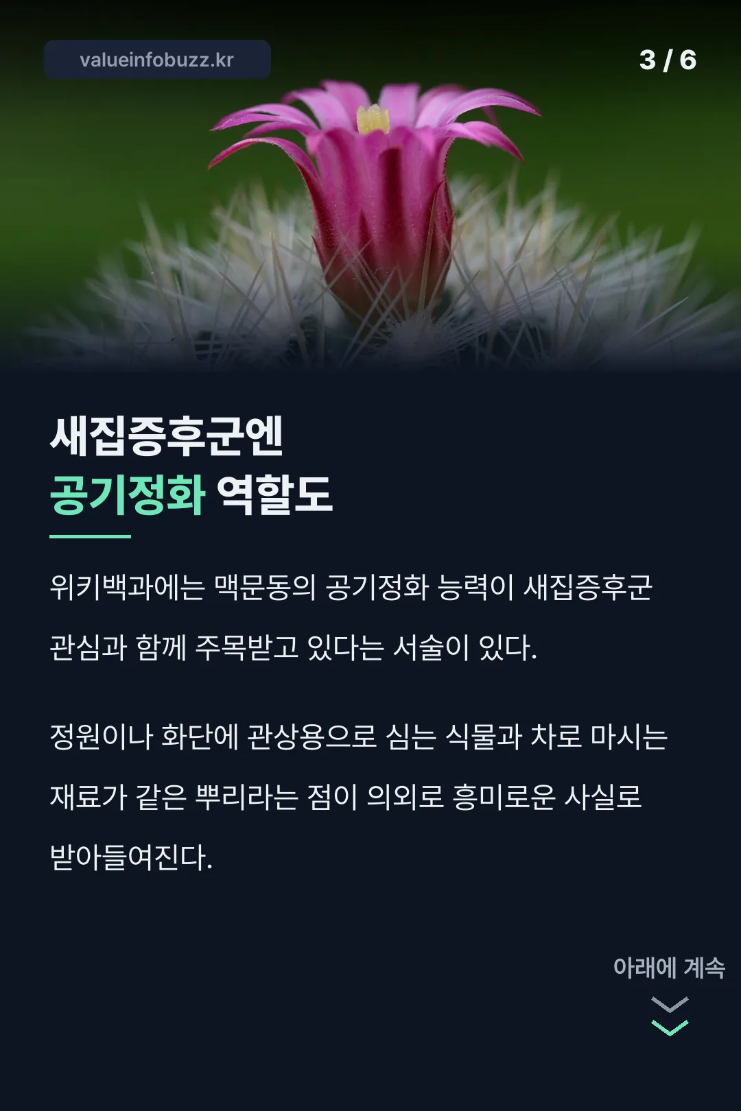 공기정화 능력이라는 의외의 사실
