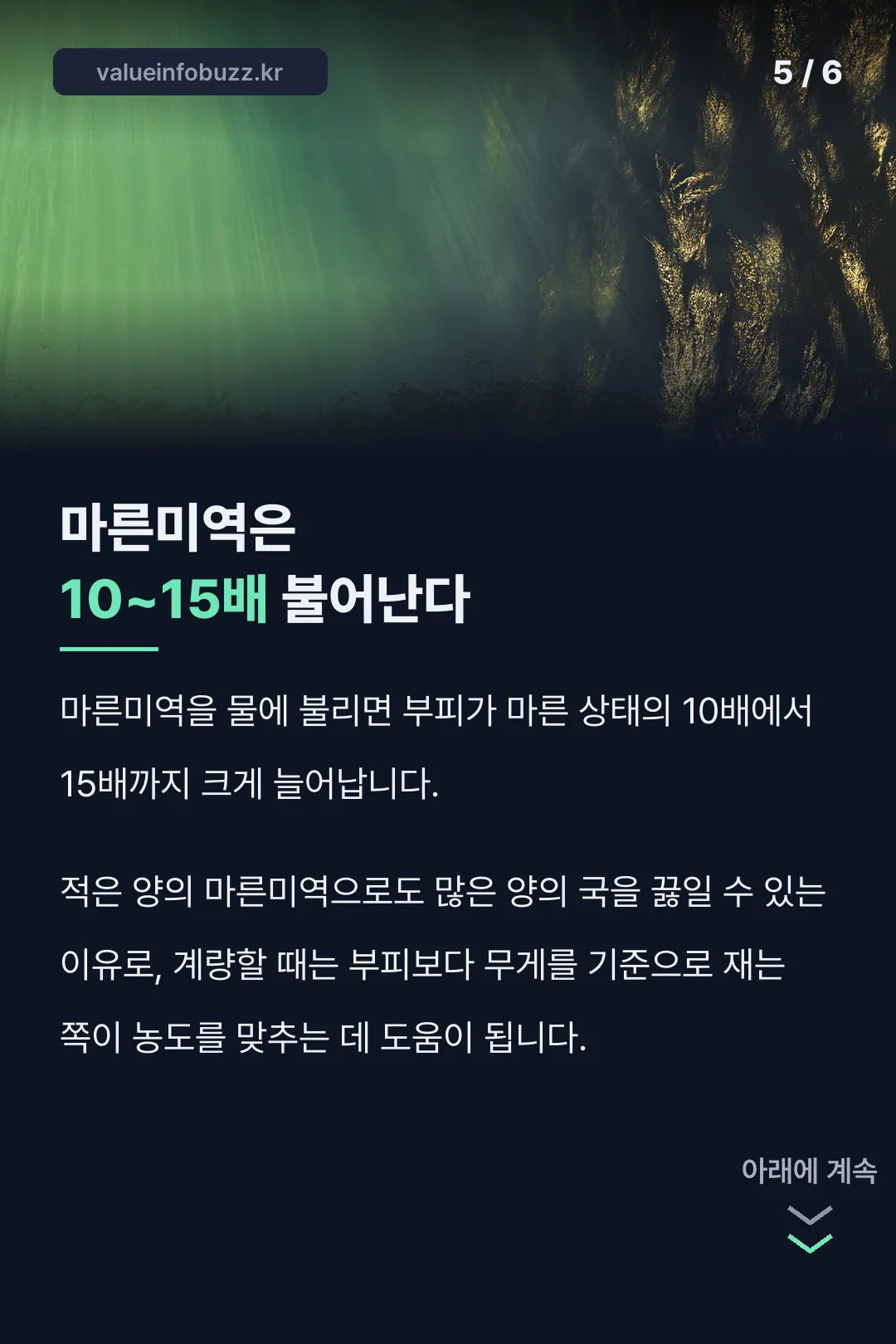 마른미역 부피 배율