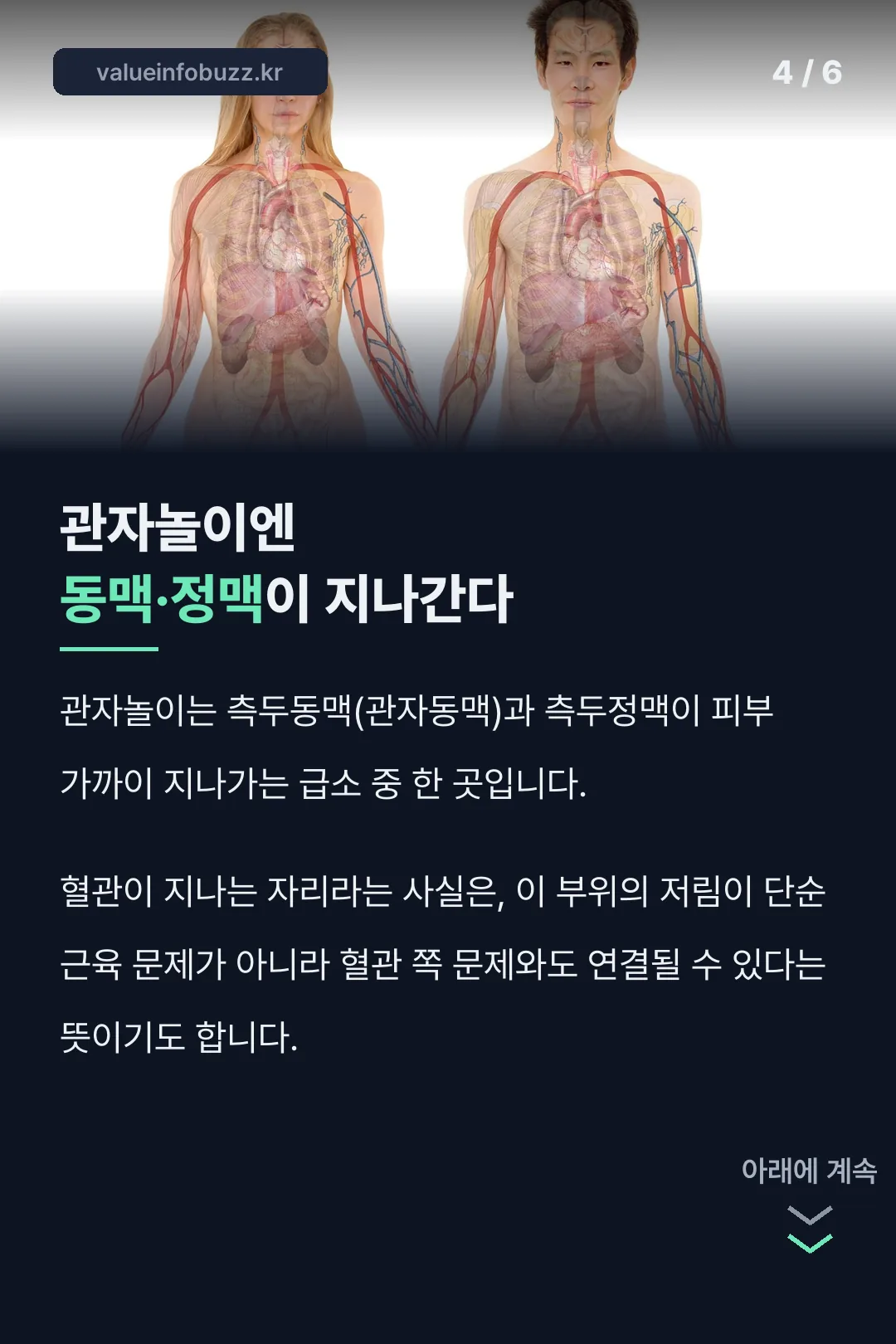관자놀이를 지나는 혈관