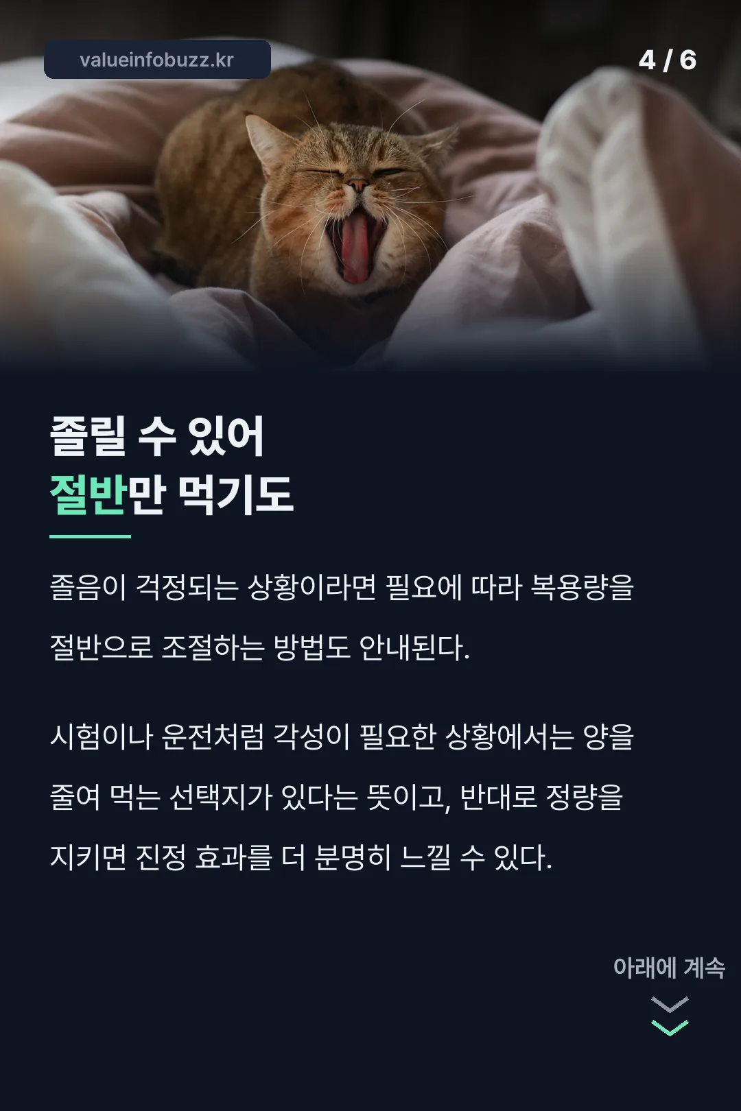졸릴 땐 절반만 먹기도