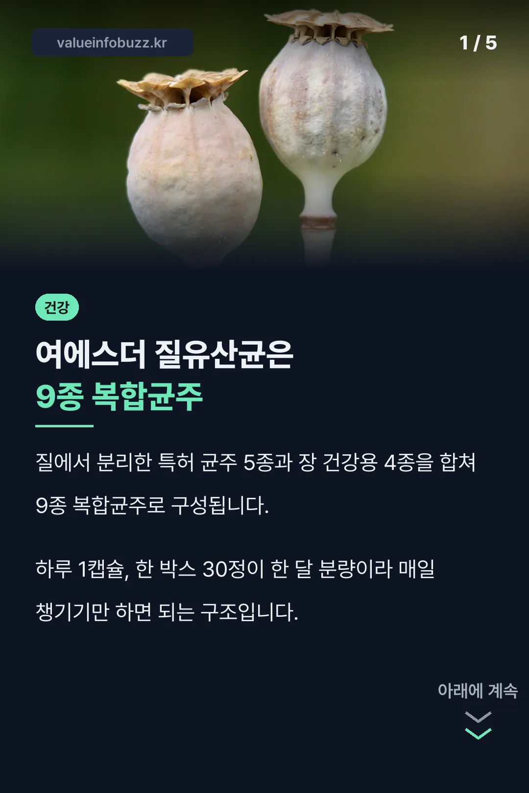여에스더 질유산균 9종 복합균주