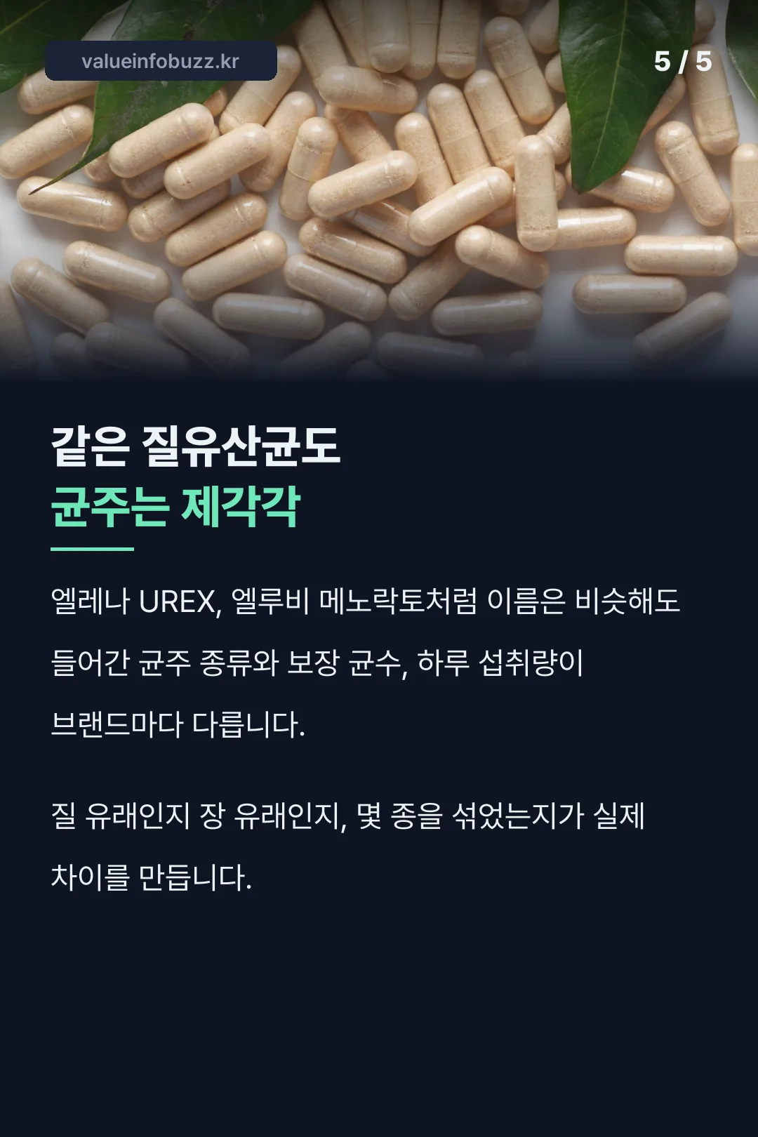 브랜드별 균주 구성 차이