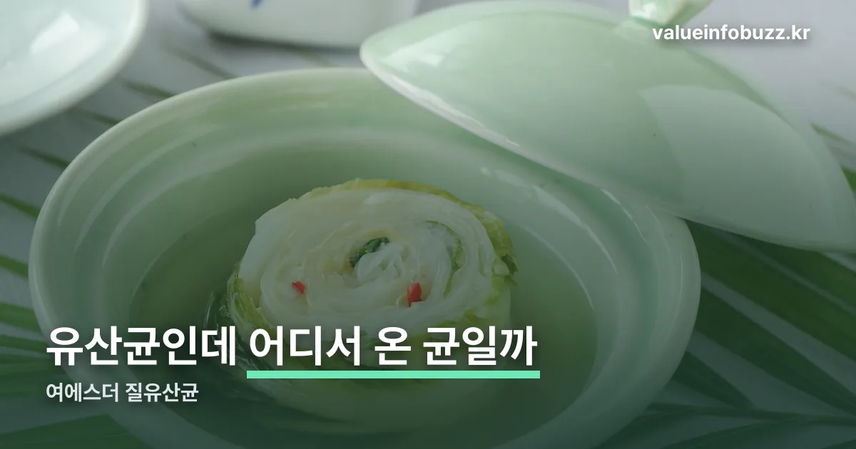 여에스더 질유산균 정리 썸네일